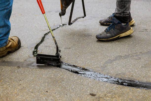 Driveway Pressure Washing in Tallahassee, FL